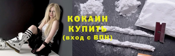 сатива Новокубанск
