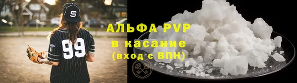 сатива Новокубанск