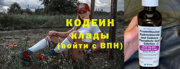 сатива Новокубанск