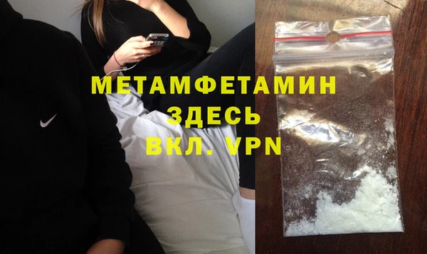 сатива Новокубанск