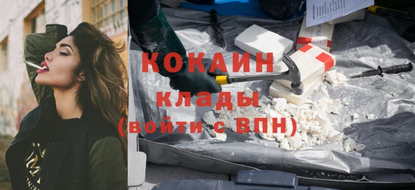 сатива Новокубанск