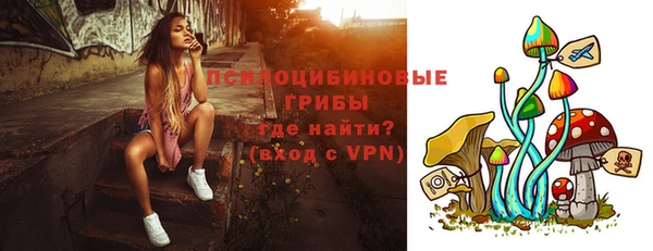 сатива Новокубанск