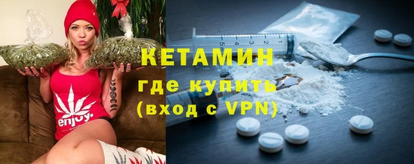 сатива Новокубанск