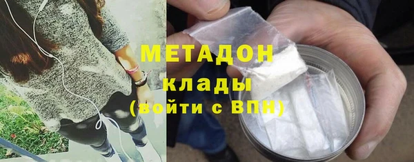сатива Новокубанск