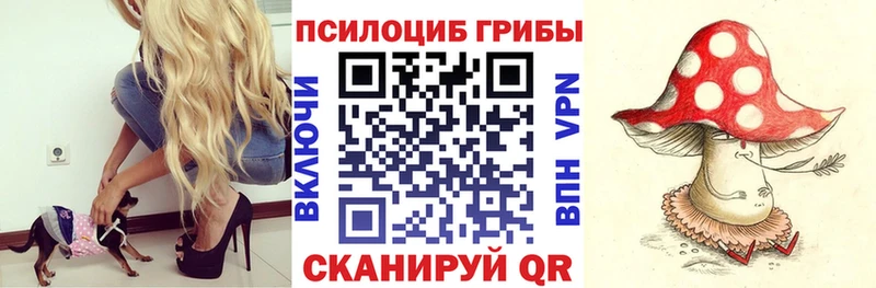 купить наркоту  omg рабочий сайт  Галлюциногенные грибы Magic Shrooms  Мосальск 